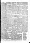 Penny Despatch and Irish Weekly Newspaper Saturday 19 January 1867 Page 3