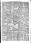 Penny Despatch and Irish Weekly Newspaper Saturday 02 February 1867 Page 7