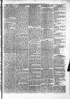 Penny Despatch and Irish Weekly Newspaper Saturday 23 February 1867 Page 5