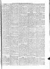 Penny Despatch and Irish Weekly Newspaper Saturday 30 March 1867 Page 7