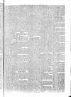 Penny Despatch and Irish Weekly Newspaper Saturday 20 April 1867 Page 3