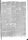 Penny Despatch and Irish Weekly Newspaper Saturday 01 June 1867 Page 3