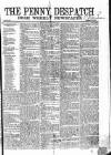 Penny Despatch and Irish Weekly Newspaper Saturday 22 June 1867 Page 1