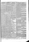 Penny Despatch and Irish Weekly Newspaper Saturday 13 July 1867 Page 5