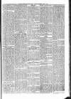 Penny Despatch and Irish Weekly Newspaper Saturday 10 August 1867 Page 7