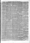 Penny Despatch and Irish Weekly Newspaper Saturday 05 October 1867 Page 3