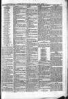 Penny Despatch and Irish Weekly Newspaper Saturday 21 December 1867 Page 3