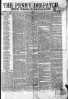 Penny Despatch and Irish Weekly Newspaper Saturday 28 December 1867 Page 1