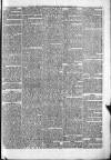 Penny Despatch and Irish Weekly Newspaper Saturday 28 December 1867 Page 7