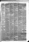 Weekly Freeman's Journal Saturday 02 April 1859 Page 5