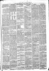 Weekly Freeman's Journal Saturday 15 June 1861 Page 4