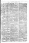 Weekly Freeman's Journal Saturday 27 July 1867 Page 5