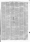 Weekly Freeman's Journal Saturday 01 May 1869 Page 3