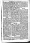 Army and Navy Gazette Saturday 26 January 1861 Page 13