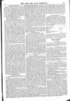 Army and Navy Gazette Saturday 04 January 1862 Page 13