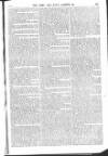 Army and Navy Gazette Saturday 15 February 1862 Page 7