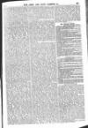 Army and Navy Gazette Saturday 11 October 1862 Page 7