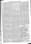 Army and Navy Gazette Saturday 01 November 1862 Page 5