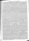Army and Navy Gazette Saturday 01 November 1862 Page 11