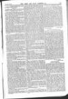 Army and Navy Gazette Saturday 25 February 1865 Page 5