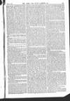 Army and Navy Gazette Saturday 11 March 1865 Page 11