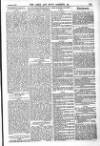 Army and Navy Gazette Saturday 23 November 1867 Page 13