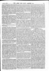 Army and Navy Gazette Saturday 02 February 1884 Page 3