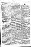 Army and Navy Gazette Saturday 09 February 1884 Page 19