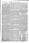 Army and Navy Gazette Saturday 05 July 1884 Page 19