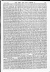 Army and Navy Gazette Saturday 18 October 1884 Page 3