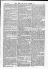 Army and Navy Gazette Saturday 25 October 1884 Page 7