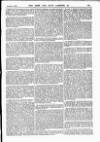 Army and Navy Gazette Saturday 07 November 1885 Page 3