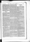 Army and Navy Gazette Saturday 28 November 1885 Page 19