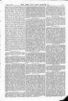 Army and Navy Gazette Saturday 07 February 1891 Page 11