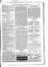 Army and Navy Gazette Saturday 19 August 1899 Page 19