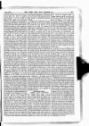 Army and Navy Gazette Saturday 04 May 1901 Page 15