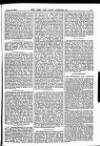 Army and Navy Gazette Saturday 18 January 1902 Page 3