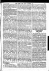 Army and Navy Gazette Saturday 22 February 1902 Page 13