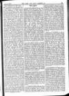 Army and Navy Gazette Saturday 24 January 1903 Page 13