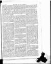 Army and Navy Gazette Saturday 11 March 1905 Page 3