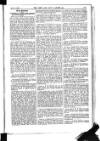 Army and Navy Gazette Saturday 31 March 1906 Page 7
