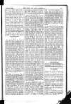 Army and Navy Gazette Saturday 24 November 1906 Page 13