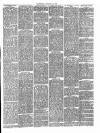 Canterbury Journal, Kentish Times and Farmers' Gazette Saturday 16 January 1886 Page 3