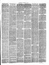 Canterbury Journal, Kentish Times and Farmers' Gazette Saturday 28 August 1886 Page 3