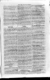 Isle of Wight Mercury Saturday 19 January 1856 Page 5