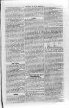 Isle of Wight Mercury Saturday 02 February 1856 Page 5