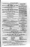 Isle of Wight Mercury Saturday 16 February 1856 Page 11