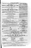 Isle of Wight Mercury Saturday 23 February 1856 Page 11