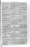 Isle of Wight Mercury Saturday 15 March 1856 Page 5