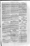 Isle of Wight Mercury Saturday 22 March 1856 Page 9